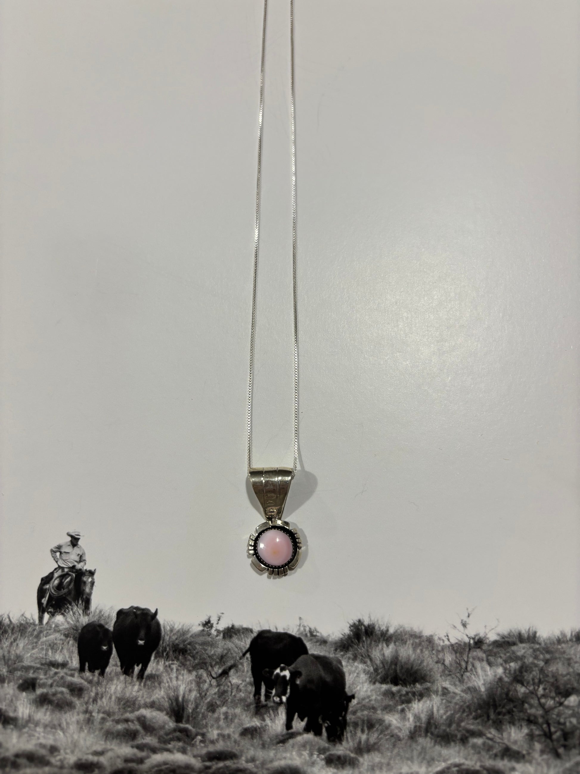 Dainty Pink Conch Necklace