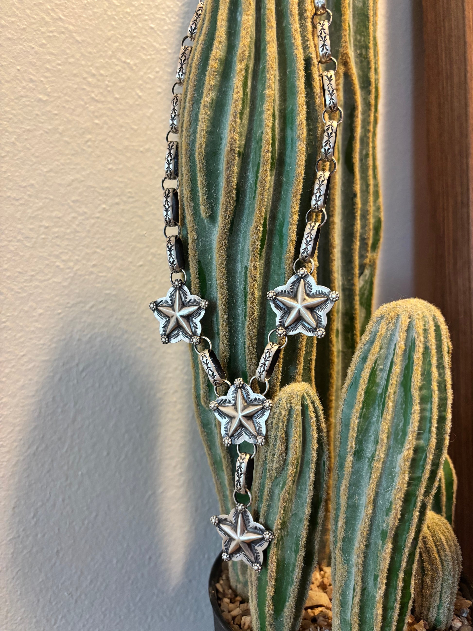 Chris Etsitty Star Lariat