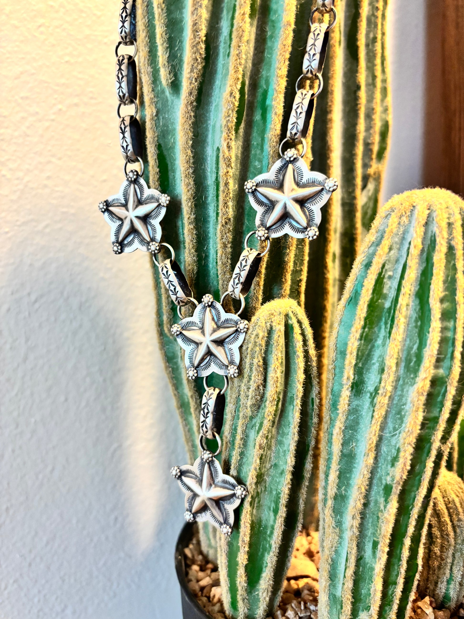 Chris Etsitty Star Lariat